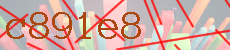 c891e8